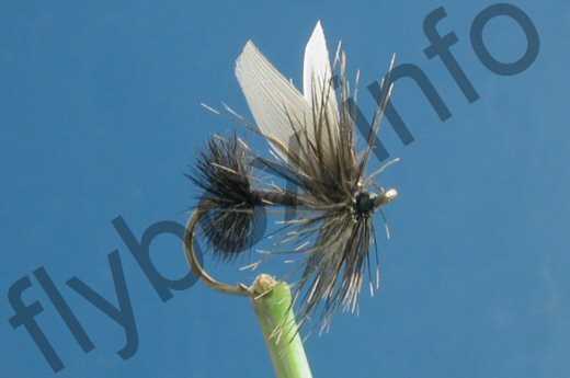 Fish4Flies Black Ant